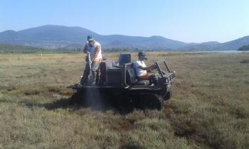 Σε εξέλιξη το πρόγραμμα καταπολέμησης των κουνουπιών από την Περιφέρεια Κεντρικής Μακεδονίας