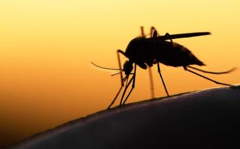 Π.Ε. Ημαθίας : Μέτρα προστασίας από τα κουνούπια