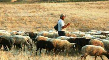 Aποφάσεις για τη στήριξη των κτηνοτρόφων