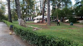 Άμεσα απομακρύνθηκαν από τα συνεργεία του Δ.Νάουσας τα δέντρα και τα κλαδιά που έπεσαν από το μπουρίνι στο δημοτικό πάρκο και στην πλατεία της Νάουσας