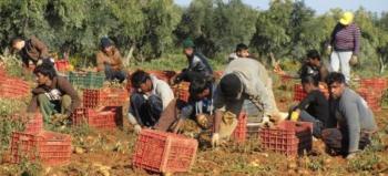 Συμφωνία με την Αίγυπτο για 5.000 εργάτες γης