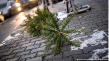 Δήμος Βέροιας : Διαχείριση χριστουγεννιάτικων δέντρων