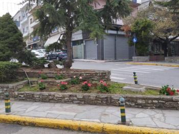 Δήμος Νάουσας : Αιτήσεις επαγγελματιών για χρήση κοινόχρηστων χώρων την περίοδο της Αποκριάς