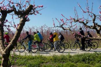 «Τρέχει» η δημιουργία δικτύου διαδρομών ορειβατικής ποδηλασίας στην Περιφέρεια Κεντρικής Μακεδονίας