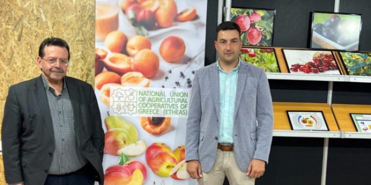 Δυναμική παρουσία των αγροτικών συνεταιρισμών – μελών της ΕΘΕΑΣ στην έκθεση Φρούτων και Λαχανικών Freskon 2023