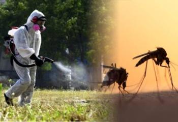 Πρόγραμμα επεμβάσεων προνυμφοκτονίας κουνουπιών στο Δήμο Βέροιας για την εβδομάδα 1 - 5 Μαΐου 2023
