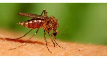 Πρόγραμμα επεμβάσεων προνυμφοκτονίας κουνουπιών στο Δήμο Βέροιας για την εβδομάδα 8 - 12 Μαΐου 2023