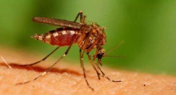 Πρόγραμμα επεμβάσεων προνυμφοκτονίας κουνουπιών στο Δήμο Βέροιας για την εβδομάδα 22 - 26 Μαΐου 2023.