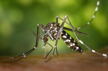 Πρόγραμμα επεμβάσεων προνυμφοκτονίας κουνουπιών στο Δήμο Βεροίας για την εβδομάδα 21 - 25 Αυγούστου 2023