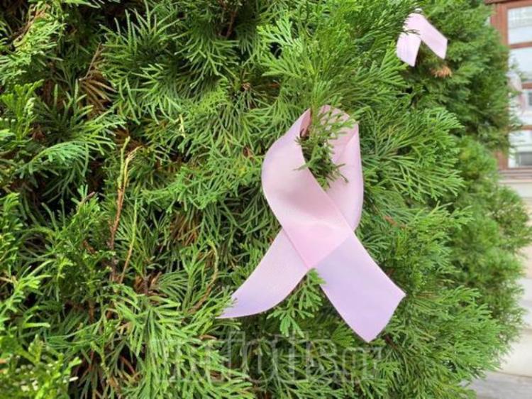 Πρόληψη του καρκίνου του μαστού : Ροζ κορδέλες στολίζουν τα δεντράκια του Δημαρχείου Βέροιας