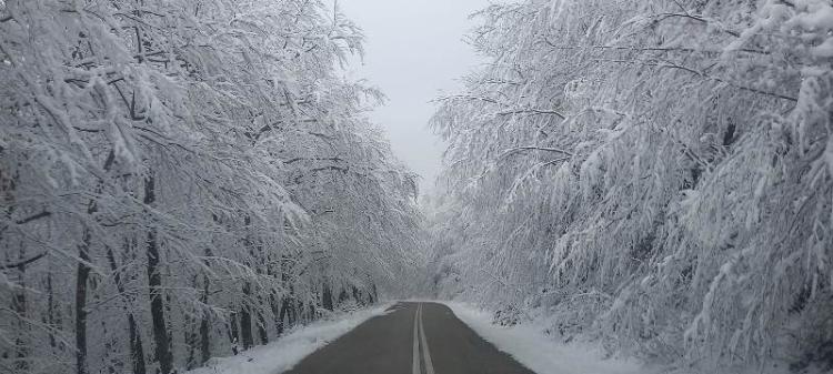Χιόνι στο Ξηρολίβαδο και βλάχικα τραγούδια - Γράφει ο Ι. Τσιαμήτρου