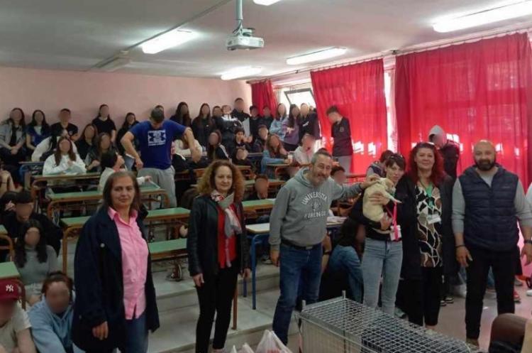 Δήμος Νάουσας: Δράσεις ευαισθητοποίησης για την Παγκόσμια Ημέρα Αδέσποτων Ζώων