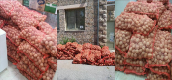 5.100 κιλά πατάτες διένειμε το Κοινωνικό Παντοπωλείο του Δήμου Βέροιας σε ωφελούμενα άτομα της Δομής