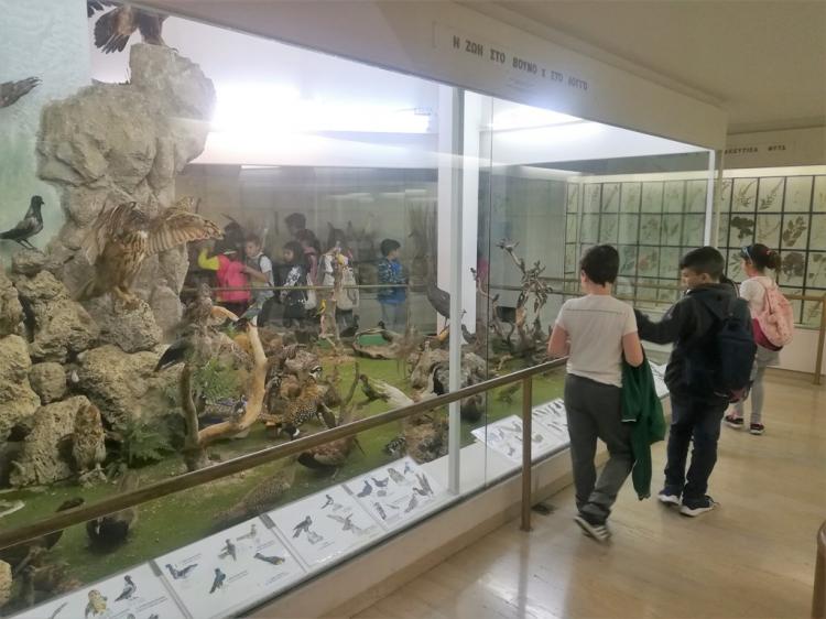 Εκπαιδευτική επίσκεψη στο Ιστορικό-Λαογραφικό & Φυσικής Ιστορίας Μουσείο Κοζάνης του 4ου Δημοτικού Σχολείου Βέροιας
