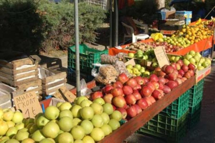 5.000 άδειες πλανόδιου εμπορίου για παραγωγούς αγροτικών προϊόντων ενέκρινε το περιφερειακό συμβούλιο κεντρικής Μακεδονίας
