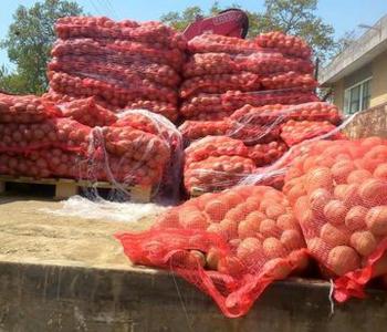 4.500 κιλά πατάτας στους ωφελούμενους του Κοινωνικού Παντοπωλείου του Δ.Αλεξάνδρειας από τη McCain HELLAS και το «Μπορούμε»