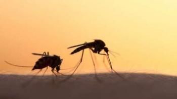 Δήμος Βέροιας : Μέτρα για την καταπολέμηση κουνουπιών