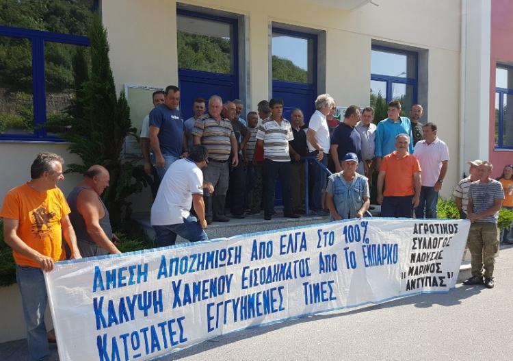 Συγκέντρωση διαμαρτυρίας πραγματοποίησαν αγρότες της Ημαθίας στο υποκατάστημα του ΕΛΓΑ Βέροιας σήμερα το πρωί