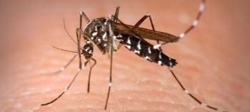 Σύσκεψη την Τετάρτη στο Δημαρχείο Βέροιας για την αντιμετώπιση της απειλής από τα κουνούπια 