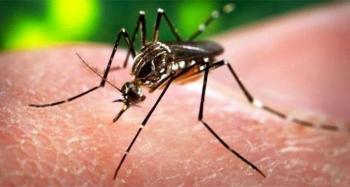 Ενημερωτική σύσκεψη για το θέμα της καταπολέμησης των κουνουπιών στο Δημαρχείο Νάουσας
